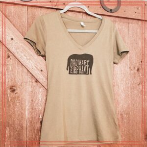Womens t-shirt on hanger against wood background