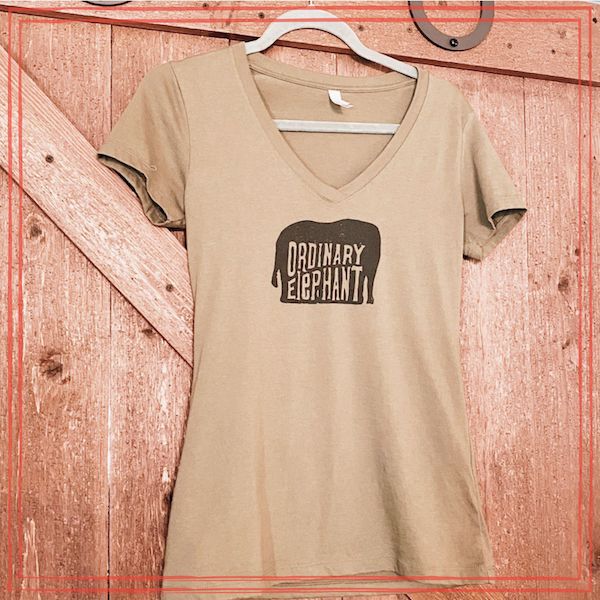 Womens t-shirt on hanger against wood background, Ordinary Elephant band merch