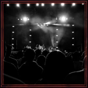 People watching concert during night time | Image by @mariadivar on unsplash.com | https://unsplash.com/photos/people-watching-concert-during-night-time-PK6giyeyNNI/